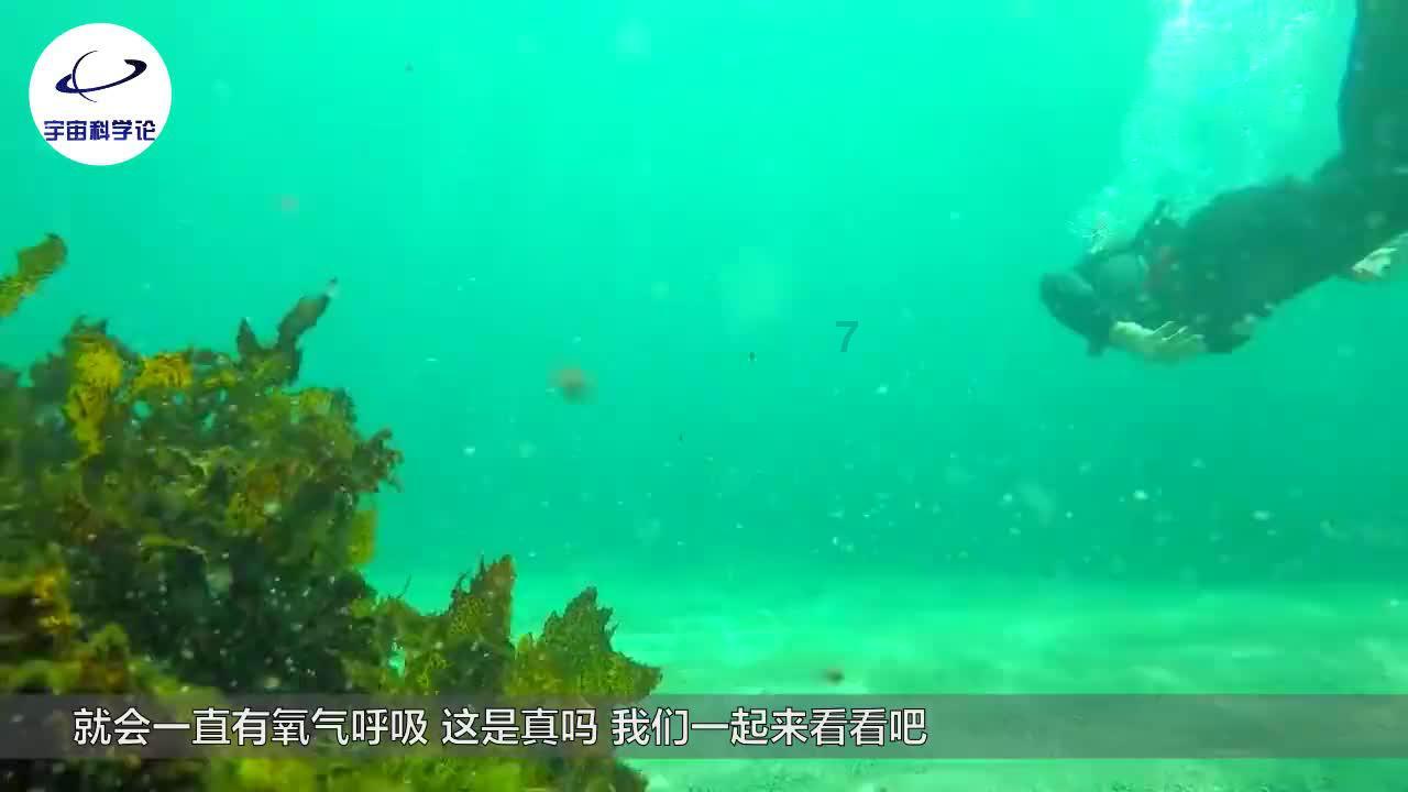 右江区新闻宣传工作再创佳绩